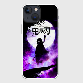 Чехол для iPhone 13 mini с принтом Demon Slayer: Kimetsu no Yaiba в Тюмени,  |  | demon slayer | kamado | kimetsu no yaiba | nezuko | tanjiro | аниме | гию томиока | зеницу агацума | иноске хашибира | камадо | клинок | корзинная девочка | манга | музан кибуцуджи | незуко | рассекающий демонов | танджиро