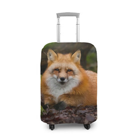 Чехол для чемодана 3D с принтом Взрослый строгий лис в Тюмени, 86% полиэфир, 14% спандекс | двустороннее нанесение принта, прорези для ручек и колес | fox | foxy | животное | звери | лиса | лисенок | лисичка | милая | рыжая | фокс