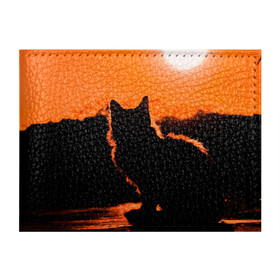 Обложка для студенческого билета с принтом Котенок на фоне заката в Тюмени, натуральная кожа | Размер: 11*8 см; Печать на всей внешней стороне | Тематика изображения на принте: закат | кот | котенок | кошка | солнце