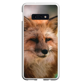 Чехол для Samsung S10E с принтом Строгая лисица в Тюмени, Силикон | Область печати: задняя сторона чехла, без боковых панелей | fox | foxy | животное | звери | лиса | лисенок | лисичка | милая | рыжая | фокс