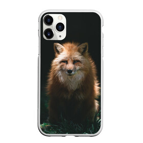 Чехол для iPhone 11 Pro матовый с принтом Хитрый Лис в Тюмени, Силикон |  | animals | beast | forest | fox | nature | orange | predator | red | животные | зверь | лес | лис | лиса | лисица | лисичка | природа | рыжая | рыжий | фыр | хитрый | хищник