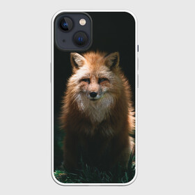 Чехол для iPhone 13 с принтом Хитрый Лис в Тюмени,  |  | animals | beast | forest | fox | nature | orange | predator | red | животные | зверь | лес | лис | лиса | лисица | лисичка | природа | рыжая | рыжий | фыр | хитрый | хищник