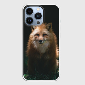 Чехол для iPhone 13 Pro с принтом Хитрый Лис в Тюмени,  |  | animals | beast | forest | fox | nature | orange | predator | red | животные | зверь | лес | лис | лиса | лисица | лисичка | природа | рыжая | рыжий | фыр | хитрый | хищник