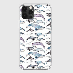 Чехол для iPhone 12 Pro с принтом киты паттерн в Тюмени, силикон | область печати: задняя сторона чехла, без боковых панелей | ocean | sea | sea animal | акварель | графика | касатка | киты | море | океан | рисунок кита