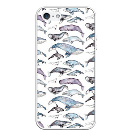Чехол для iPhone 5/5S матовый с принтом киты паттерн в Тюмени, Силикон | Область печати: задняя сторона чехла, без боковых панелей | Тематика изображения на принте: ocean | sea | sea animal | акварель | графика | касатка | киты | море | океан | рисунок кита