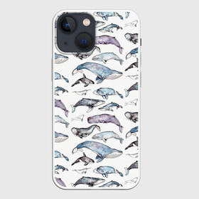 Чехол для iPhone 13 mini с принтом киты паттерн в Тюмени,  |  | Тематика изображения на принте: ocean | sea | sea animal | акварель | графика | касатка | киты | море | океан | рисунок кита