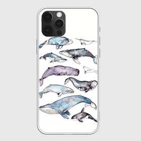 Чехол для iPhone 12 Pro Max с принтом киты в Тюмени, Силикон |  | ocean | sea | киты | море | морской принт | морской фон | океан | паттерн | рыбы | текстуры
