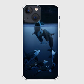 Чехол для iPhone 13 mini с принтом касатки в Тюмени,  |  | Тематика изображения на принте: ocean | orca | sea | sea animal | дельфин | касатка | кит | море | океан | рисунок кита