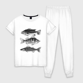 Женская пижама хлопок с принтом караси в Тюмени, 100% хлопок | брюки и футболка прямого кроя, без карманов, на брюках мягкая резинка на поясе и по низу штанин | ocean | sea | sea animal | графика | карась | море | океан | река | рисунок рыбы | рыба | рыбалка