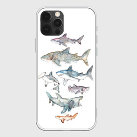 Чехол для iPhone 12 Pro с принтом акулы в Тюмени, силикон | область печати: задняя сторона чехла, без боковых панелей | Тематика изображения на принте: ocean | sea | sea animal | акварель | акула | море | океан | рисунок