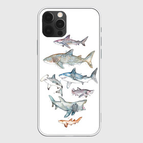 Чехол для iPhone 12 Pro Max с принтом акулы в Тюмени, Силикон |  | Тематика изображения на принте: ocean | sea | sea animal | акварель | акула | море | океан | рисунок