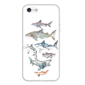 Чехол для iPhone 5/5S матовый с принтом акулы в Тюмени, Силикон | Область печати: задняя сторона чехла, без боковых панелей | Тематика изображения на принте: ocean | sea | sea animal | акварель | акула | море | океан | рисунок