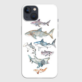 Чехол для iPhone 13 с принтом акулы в Тюмени,  |  | ocean | sea | sea animal | акварель | акула | море | океан | рисунок