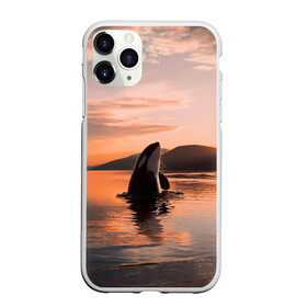 Чехол для iPhone 11 Pro матовый с принтом касатки на закате в Тюмени, Силикон |  | ocean | orca | sea | sea animal | дельфин | закат | касатка | кит | море | океан | рисунок кита