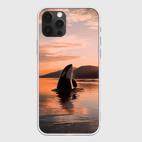 Чехол для iPhone 12 Pro с принтом касатки на закате в Тюмени, силикон | область печати: задняя сторона чехла, без боковых панелей | Тематика изображения на принте: ocean | orca | sea | sea animal | дельфин | закат | касатка | кит | море | океан | рисунок кита