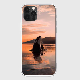 Чехол для iPhone 12 Pro Max с принтом касатки на закате в Тюмени, Силикон |  | Тематика изображения на принте: ocean | orca | sea | sea animal | дельфин | закат | касатка | кит | море | океан | рисунок кита