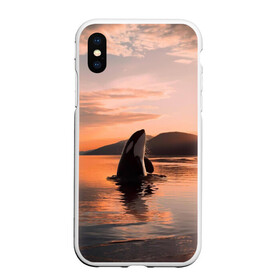 Чехол для iPhone XS Max матовый с принтом касатки на закате в Тюмени, Силикон | Область печати: задняя сторона чехла, без боковых панелей | Тематика изображения на принте: ocean | orca | sea | sea animal | дельфин | закат | касатка | кит | море | океан | рисунок кита