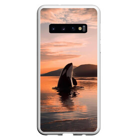 Чехол для Samsung Galaxy S10 с принтом касатки на закате в Тюмени, Силикон | Область печати: задняя сторона чехла, без боковых панелей | ocean | orca | sea | sea animal | дельфин | закат | касатка | кит | море | океан | рисунок кита