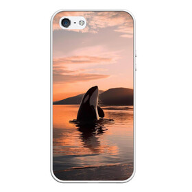 Чехол для iPhone 5/5S матовый с принтом касатки на закате в Тюмени, Силикон | Область печати: задняя сторона чехла, без боковых панелей | ocean | orca | sea | sea animal | дельфин | закат | касатка | кит | море | океан | рисунок кита