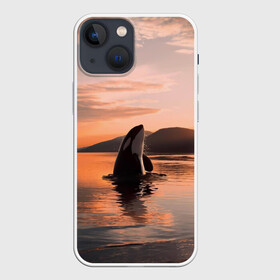 Чехол для iPhone 13 mini с принтом касатки на закате в Тюмени,  |  | Тематика изображения на принте: ocean | orca | sea | sea animal | дельфин | закат | касатка | кит | море | океан | рисунок кита