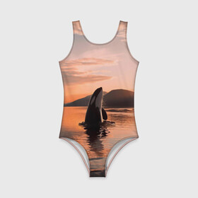 Детский купальник 3D с принтом касатки на закате в Тюмени, Полиэстер 85%, Спандекс 15% | Слитный крой, подклад по переду изделия, узкие бретели | ocean | orca | sea | sea animal | дельфин | закат | касатка | кит | море | океан | рисунок кита