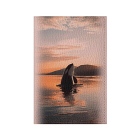 Обложка для паспорта матовая кожа с принтом касатки на закате в Тюмени, натуральная матовая кожа | размер 19,3 х 13,7 см; прозрачные пластиковые крепления | Тематика изображения на принте: ocean | orca | sea | sea animal | дельфин | закат | касатка | кит | море | океан | рисунок кита