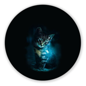 Коврик для мышки круглый с принтом красивый кот в Тюмени, резина и полиэстер | круглая форма, изображение наносится на всю лицевую часть | бабочки и кошки в красивом свете | кот в свете | одинокий кот | только бабочки