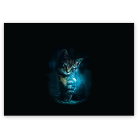Поздравительная открытка с принтом красивый кот в Тюмени, 100% бумага | плотность бумаги 280 г/м2, матовая, на обратной стороне линовка и место для марки
 | бабочки и кошки в красивом свете | кот в свете | одинокий кот | только бабочки