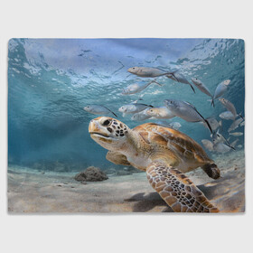 Плед 3D с принтом Морская черепаха в Тюмени, 100% полиэстер | закругленные углы, все края обработаны. Ткань не мнется и не растягивается | море | морская | океан | подводный мир | рыбы | черепаха