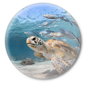 Значок с принтом Морская черепаха в Тюмени,  металл | круглая форма, металлическая застежка в виде булавки | Тематика изображения на принте: море | морская | океан | подводный мир | рыбы | черепаха