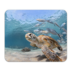 Коврик для мышки прямоугольный с принтом Морская черепаха в Тюмени, натуральный каучук | размер 230 х 185 мм; запечатка лицевой стороны | море | морская | океан | подводный мир | рыбы | черепаха