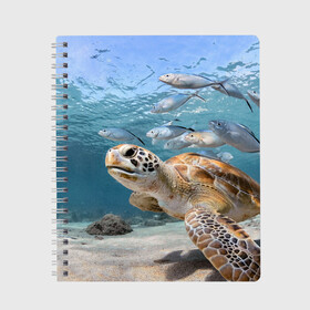 Тетрадь с принтом Морская черепаха в Тюмени, 100% бумага | 48 листов, плотность листов — 60 г/м2, плотность картонной обложки — 250 г/м2. Листы скреплены сбоку удобной пружинной спиралью. Уголки страниц и обложки скругленные. Цвет линий — светло-серый
 | море | морская | океан | подводный мир | рыбы | черепаха