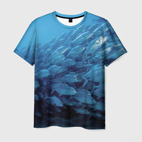 Мужская футболка 3D с принтом Морские рыбы в Тюмени, 100% полиэфир | прямой крой, круглый вырез горловины, длина до линии бедер | косяк | море | океан | подводный мир | рыбки | рыбы