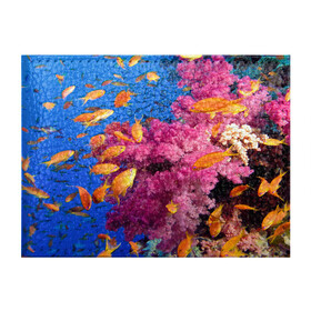 Обложка для студенческого билета с принтом Коралловые рыбки в Тюмени, натуральная кожа | Размер: 11*8 см; Печать на всей внешней стороне | Тематика изображения на принте: коралловые | море | океан | подводный мир | рифы | рыбки | рыбы