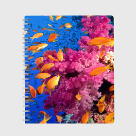 Тетрадь с принтом Коралловые рыбки в Тюмени, 100% бумага | 48 листов, плотность листов — 60 г/м2, плотность картонной обложки — 250 г/м2. Листы скреплены сбоку удобной пружинной спиралью. Уголки страниц и обложки скругленные. Цвет линий — светло-серый
 | коралловые | море | океан | подводный мир | рифы | рыбки | рыбы