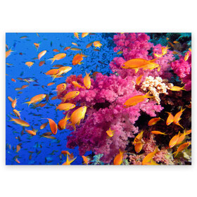 Поздравительная открытка с принтом Коралловые рыбки в Тюмени, 100% бумага | плотность бумаги 280 г/м2, матовая, на обратной стороне линовка и место для марки
 | Тематика изображения на принте: коралловые | море | океан | подводный мир | рифы | рыбки | рыбы