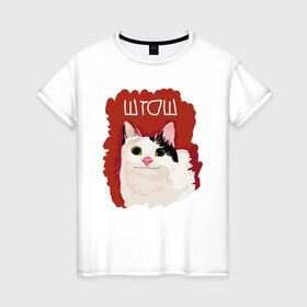 Женская футболка хлопок с принтом котик ШТОШ в Тюмени, 100% хлопок | прямой крой, круглый вырез горловины, длина до линии бедер, слегка спущенное плечо | кот | меме | прикол | штош | юмор