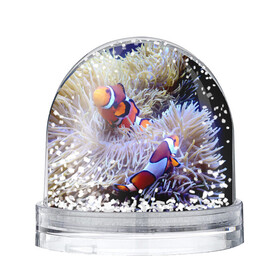 Игрушка Снежный шар с принтом Клоуны в актинии в Тюмени, Пластик | Изображение внутри шара печатается на глянцевой фотобумаге с двух сторон | актиния | клоуны | коралловые | море | подводный мир | рыбки