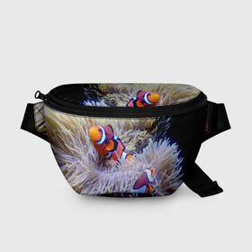 Поясная сумка 3D с принтом Клоуны в актинии в Тюмени, 100% полиэстер | плотная ткань, ремень с регулируемой длиной, внутри несколько карманов для мелочей, основное отделение и карман с обратной стороны сумки застегиваются на молнию | актиния | клоуны | коралловые | море | подводный мир | рыбки