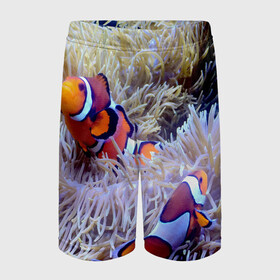 Детские спортивные шорты 3D с принтом Клоуны в актинии в Тюмени,  100% полиэстер
 | пояс оформлен широкой мягкой резинкой, ткань тянется
 | актиния | клоуны | коралловые | море | подводный мир | рыбки