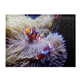 Обложка для студенческого билета с принтом Клоуны в актинии в Тюмени, натуральная кожа | Размер: 11*8 см; Печать на всей внешней стороне | актиния | клоуны | коралловые | море | подводный мир | рыбки