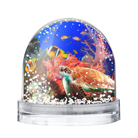 Игрушка Снежный шар с принтом Морская черепаха в Тюмени, Пластик | Изображение внутри шара печатается на глянцевой фотобумаге с двух сторон | кораллы | море | морская черепаха | подводный мир | рыбки