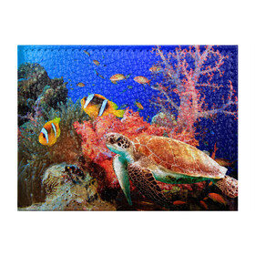 Обложка для студенческого билета с принтом Морская черепаха в Тюмени, натуральная кожа | Размер: 11*8 см; Печать на всей внешней стороне | Тематика изображения на принте: кораллы | море | морская черепаха | подводный мир | рыбки