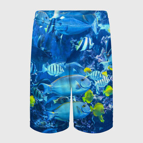Детские спортивные шорты 3D с принтом Коралловые рыбки в Тюмени,  100% полиэстер
 | пояс оформлен широкой мягкой резинкой, ткань тянется
 | коралловые | море | подводный мир | рыбки