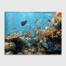 Обложка для студенческого билета с принтом Коралловые рыбки в Тюмени, натуральная кожа | Размер: 11*8 см; Печать на всей внешней стороне | Тематика изображения на принте: коралловые | кораллы | море | подводный мир | рыбки