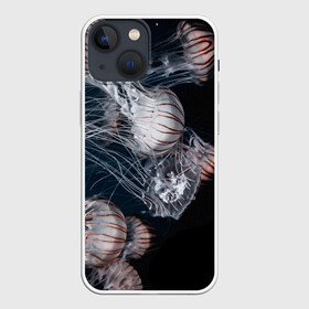 Чехол для iPhone 13 mini с принтом Медузы в Тюмени,  |  | глубина | медузы | море | морские обитатели | океан | подводный мир