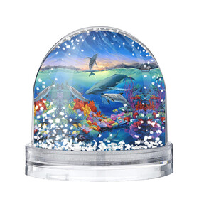 Игрушка Снежный шар с принтом Киты и дельфины в Тюмени, Пластик | Изображение внутри шара печатается на глянцевой фотобумаге с двух сторон | горы | дельфины | закат солнца | киты | кораллы | море | океан | подводный мир