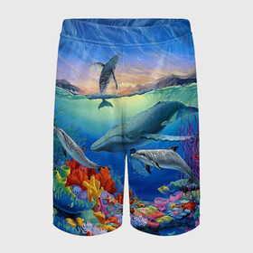 Детские спортивные шорты 3D с принтом Киты и дельфины в Тюмени,  100% полиэстер
 | пояс оформлен широкой мягкой резинкой, ткань тянется
 | Тематика изображения на принте: горы | дельфины | закат солнца | киты | кораллы | море | океан | подводный мир