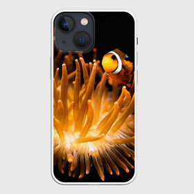 Чехол для iPhone 13 mini с принтом Клоуны в актинии в Тюмени,  |  | актиния | клоуны | коралловые | море | подводный мир | рыбки
