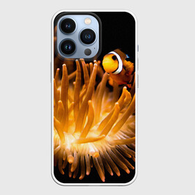 Чехол для iPhone 13 Pro с принтом Клоуны в актинии в Тюмени,  |  | актиния | клоуны | коралловые | море | подводный мир | рыбки